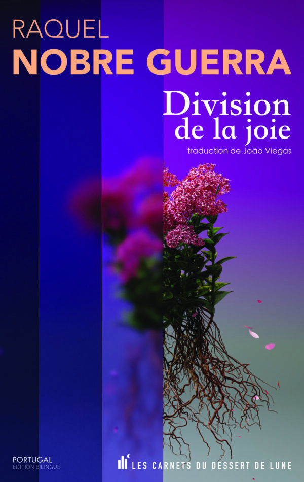 Couverture du livre Division de la Joie de Raquel Nobre Guerra