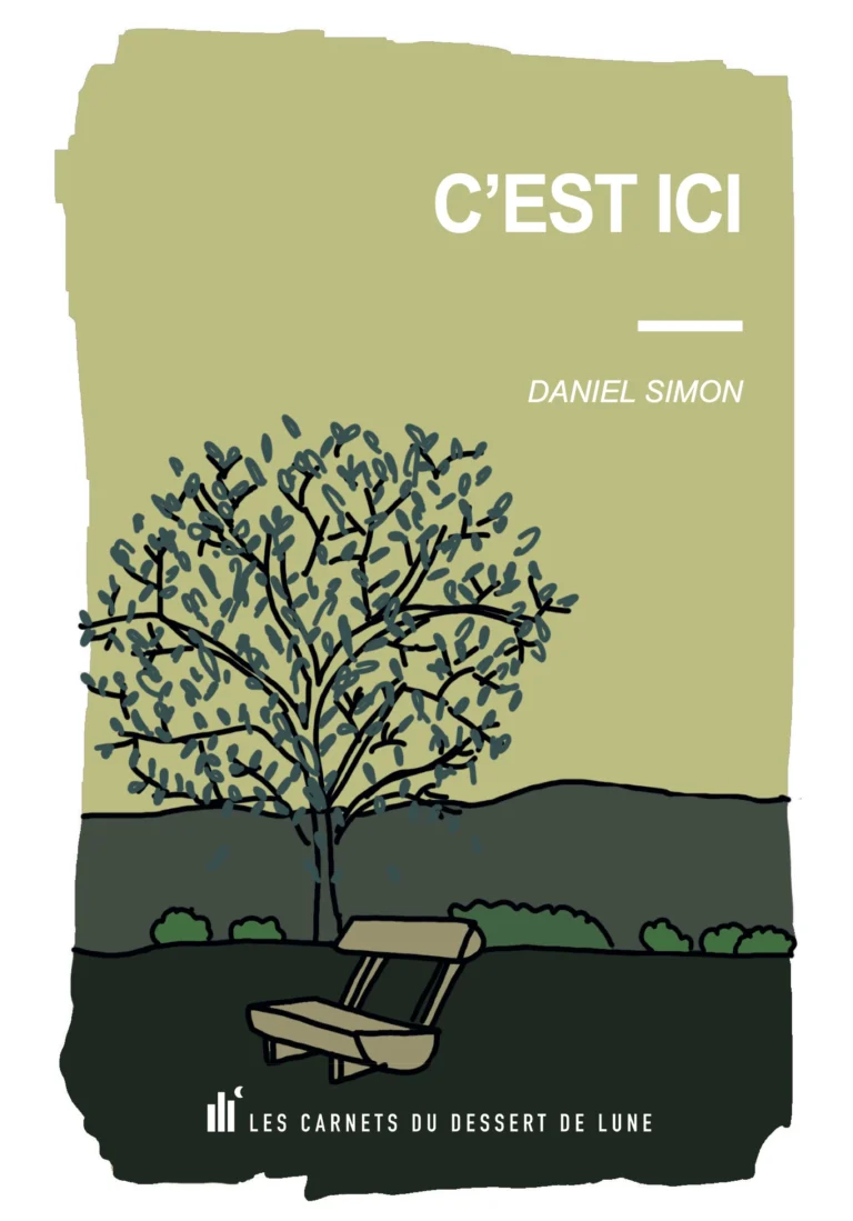 C&rsquo;est ici par Christophe Van Staen