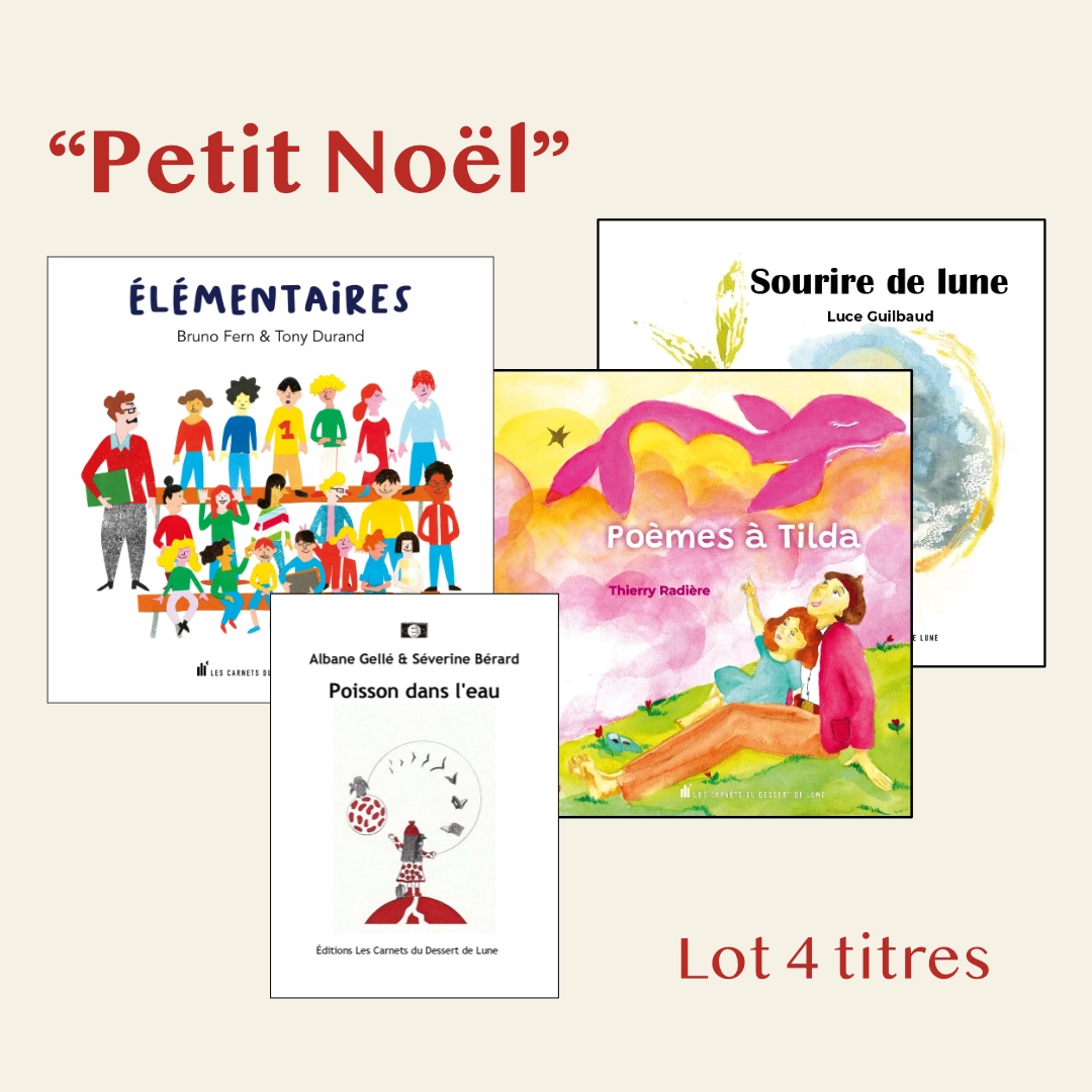 Lot de 4 livres Petit Noël